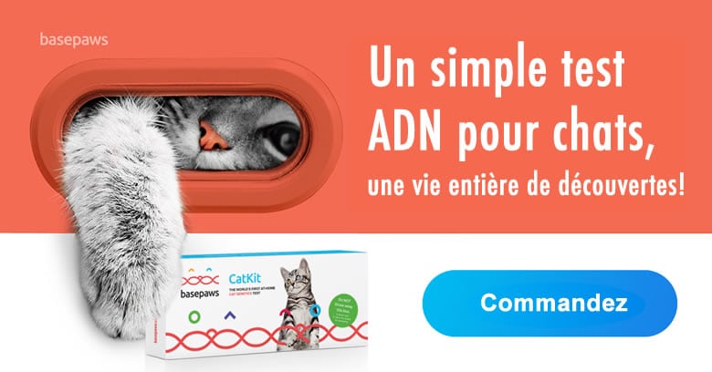 Acheter un kit de prélèvement adn pour chat au quebec