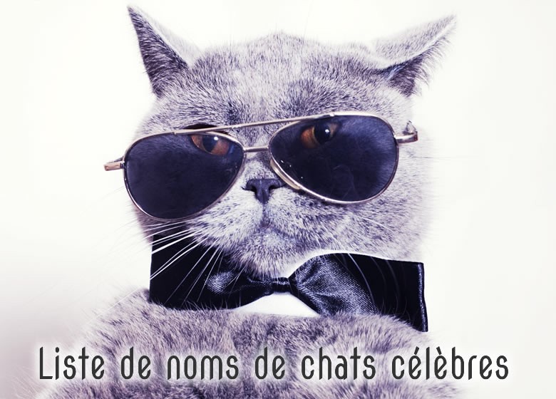 Idées de noms de chats célèbres