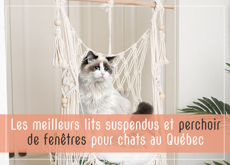 Les meilleurs lits suspendus et perchoir de fenêtres pour chats au Québec