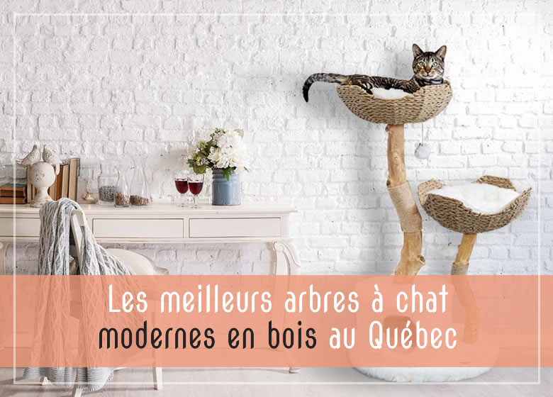 Les meilleurs arbres à chat modernes en bois au Québec