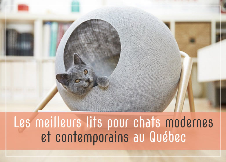 Les meilleurs lits pour chats modernes et contemporains au Québec