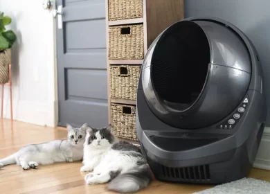 litière autonettoyante pour chat