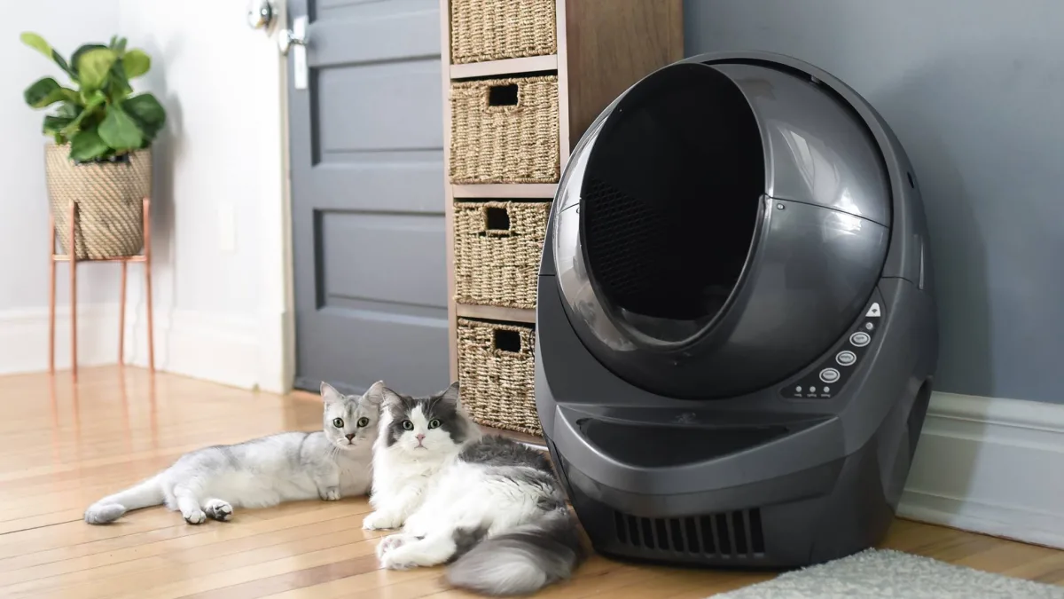 litière autonettoyante pour chat